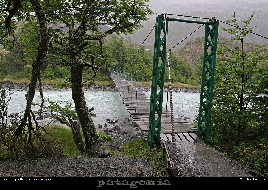136_01_riopingoplle