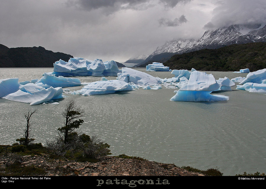 141_03_lagogrey