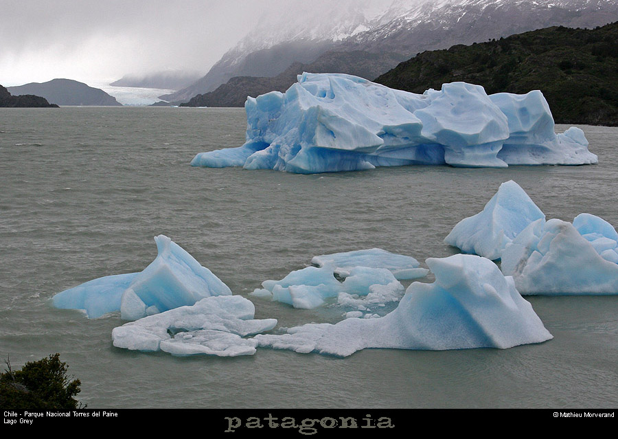 141_04_lagogrey