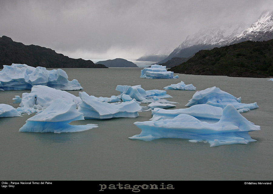 141_05_lagogrey