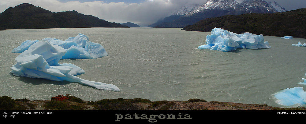 142_01_lagogreypano