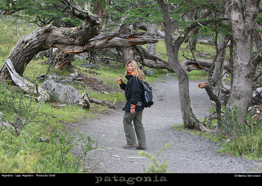 149_01_bonelli