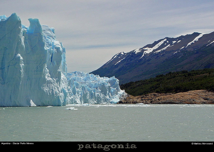 154_29_pmoreno