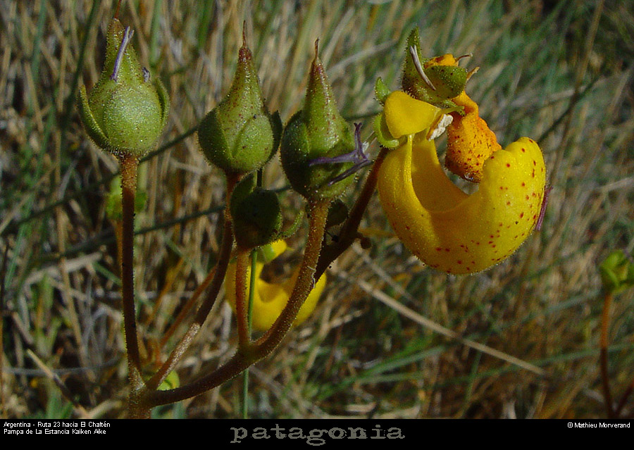 163_09_lasvueltas