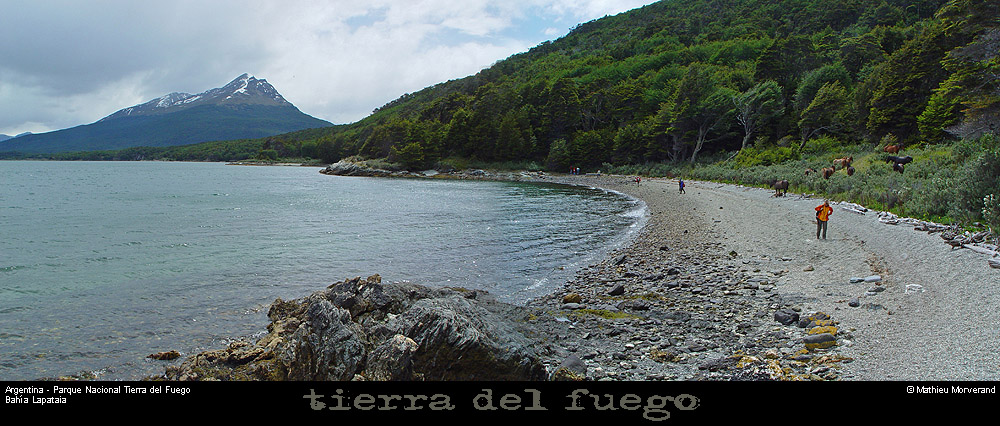176_08_parctdfpano
