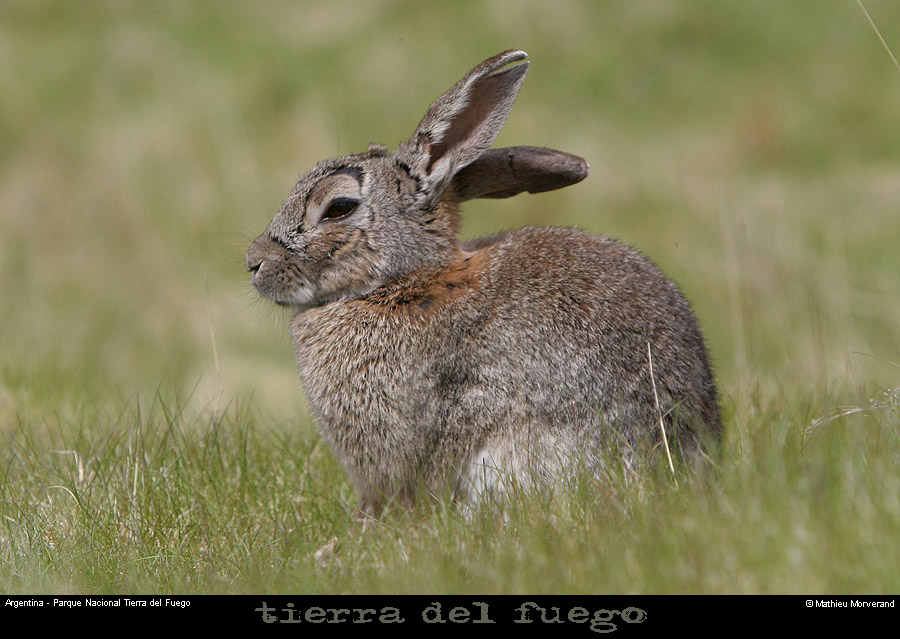 176_16_parctdf