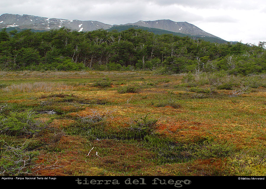 176_19_parctdf