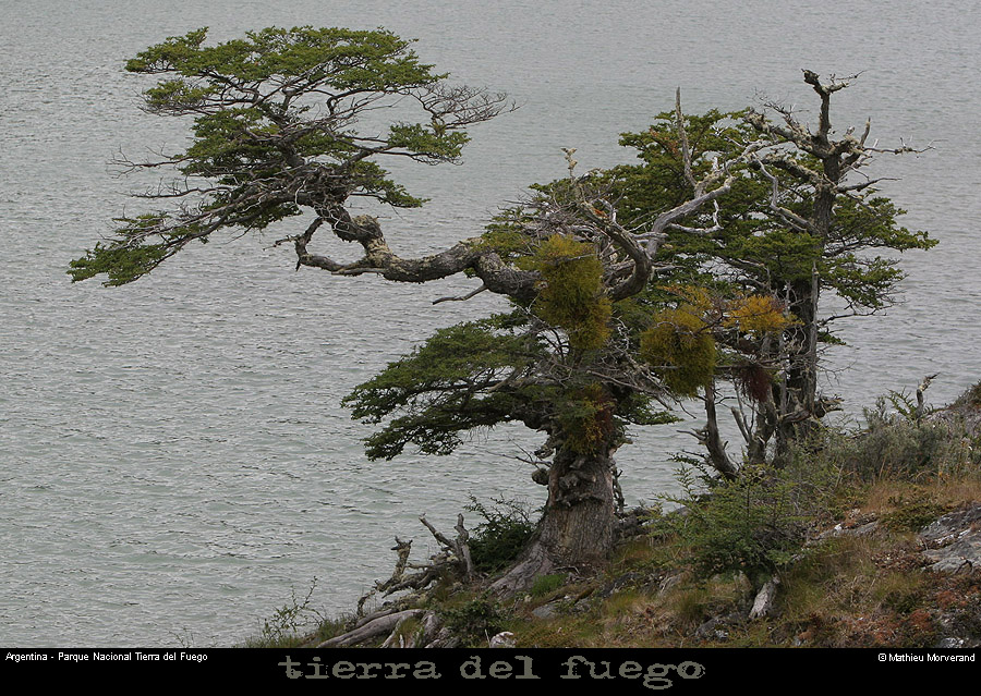 176_25_parctdf