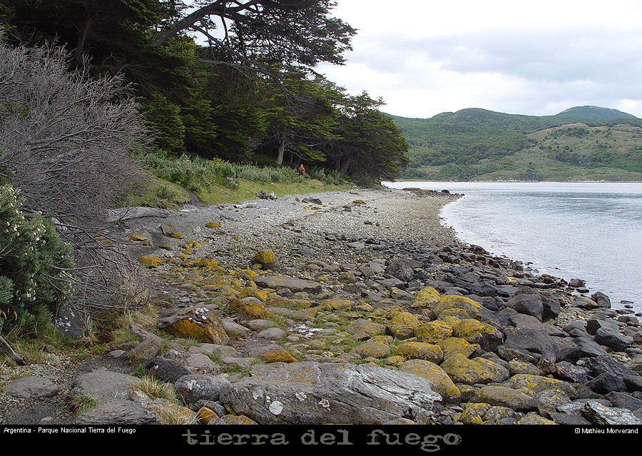 176_47_parctdf