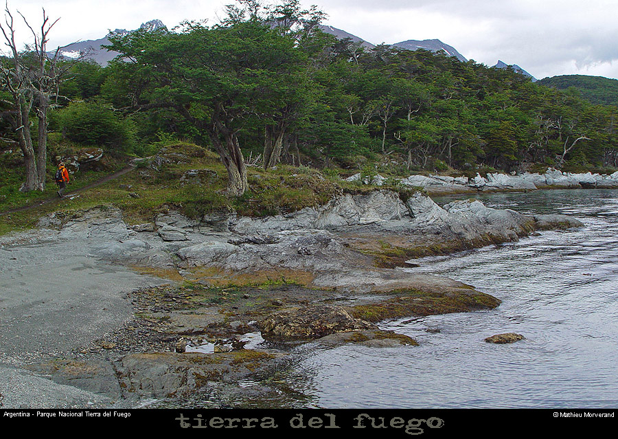 176_49_parctdf