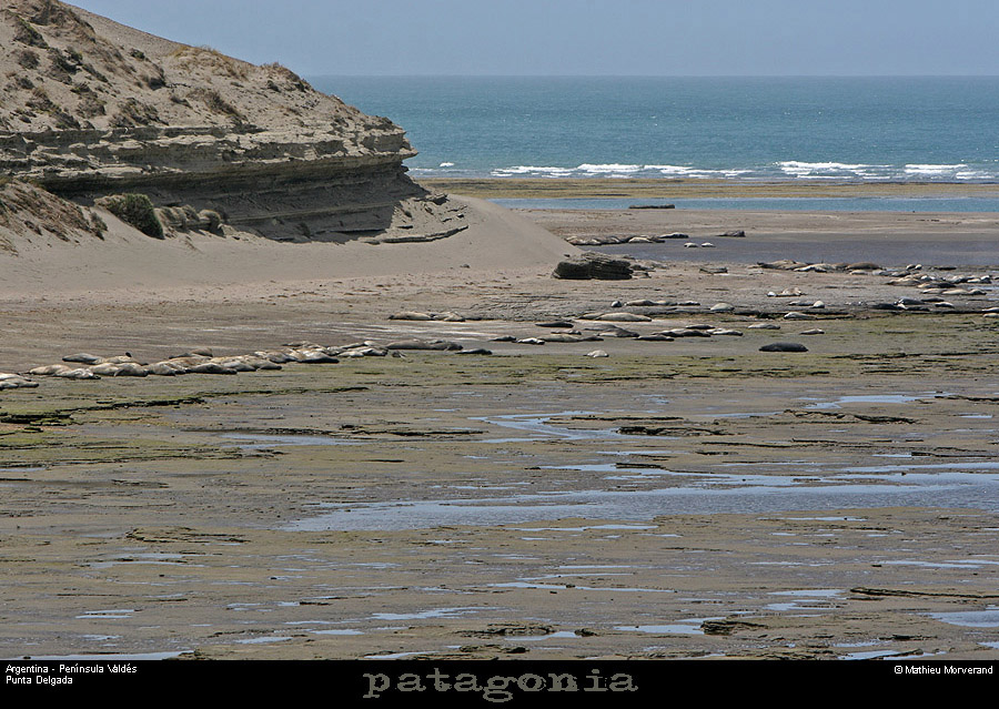 181_05_puntadelgada