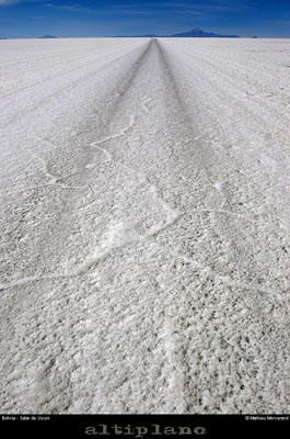 027_12_salaruyuni
