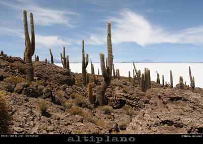 028_05_incahuasi