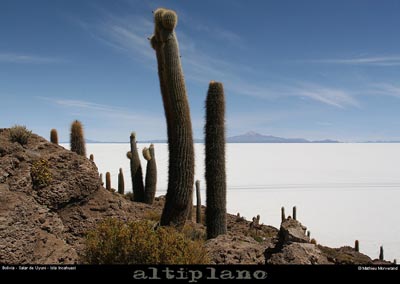 028_06_incahuasi