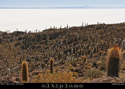 028_08_incahuasi