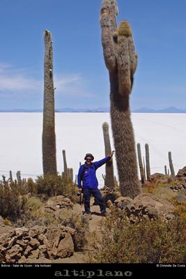 028_10_incahuasi