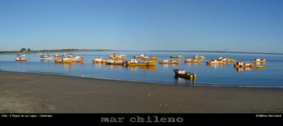 070_08_carelmapupano