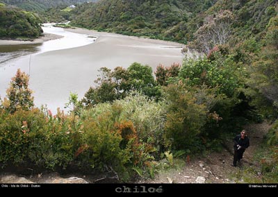 079_05_duataorio
