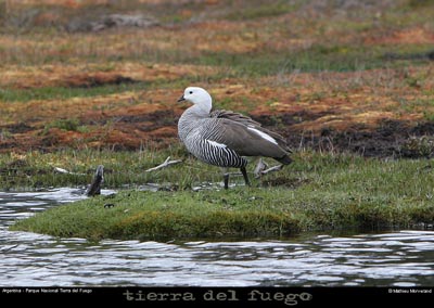 176_09_parctdf
