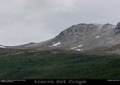 176_29_parctdf