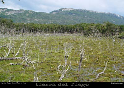 176_31_parctdf
