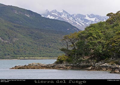 176_37_parctdf