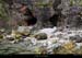 079_29_duataocave