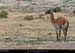 183_19_puntatombo
