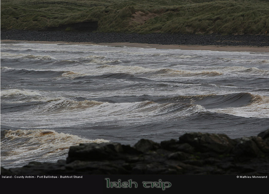 bushfootstrand2