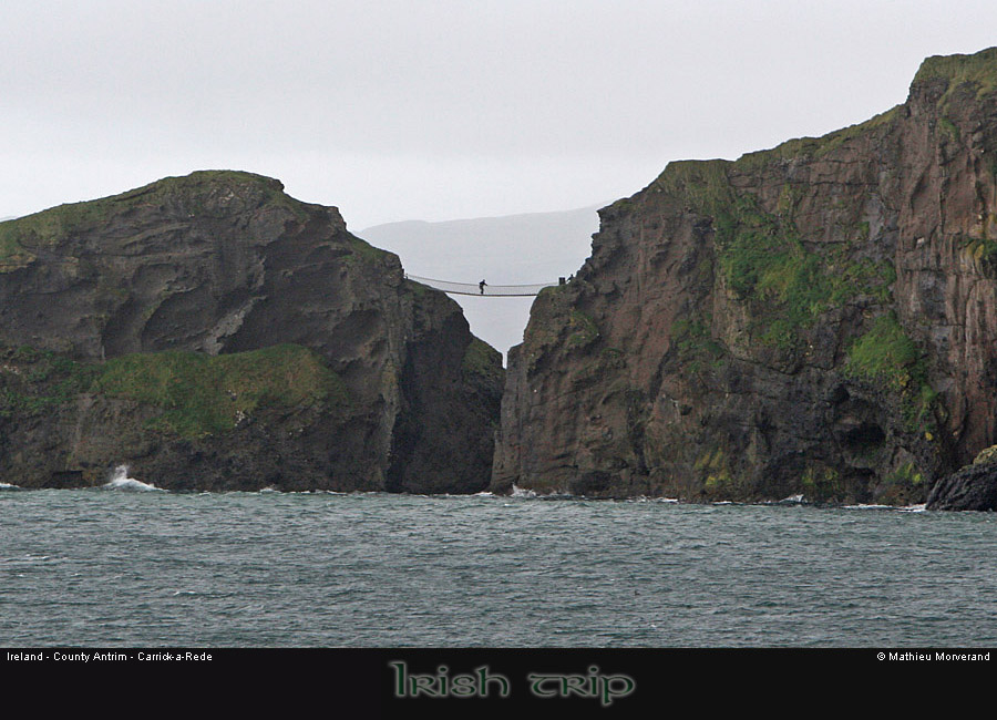 carrickarede24
