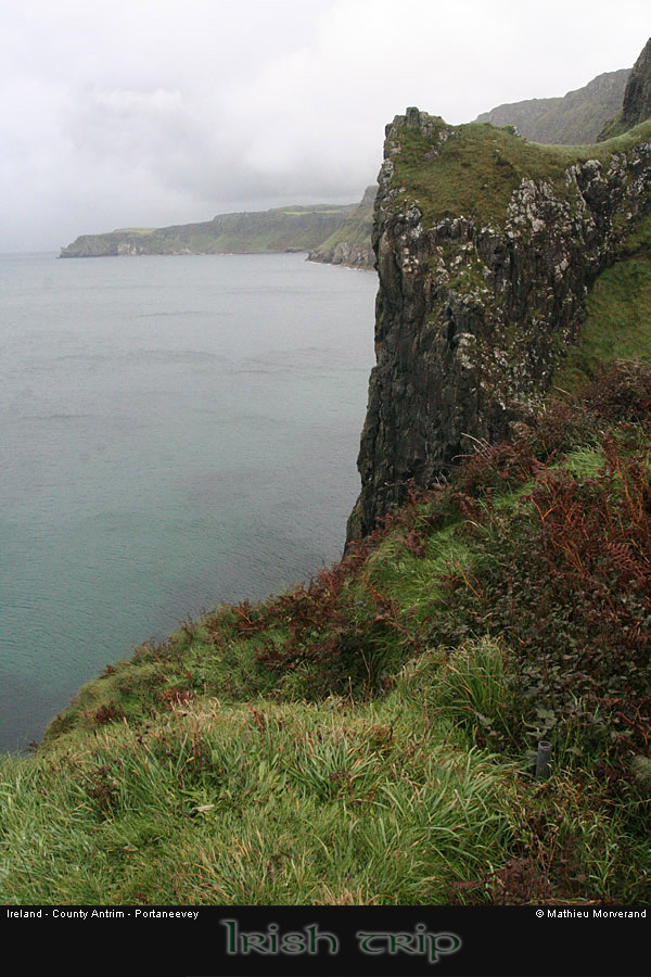 portaneevey2