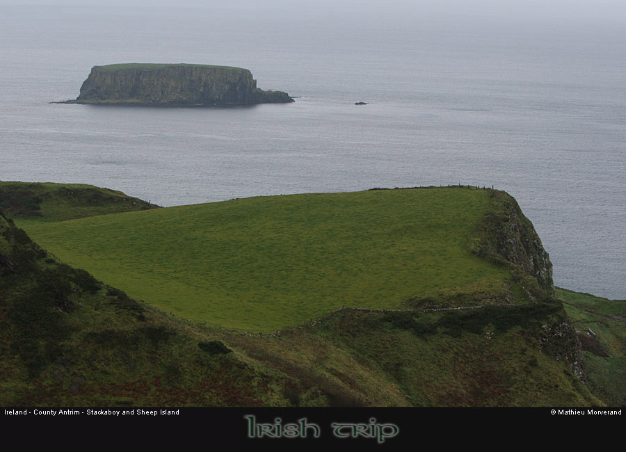 sheepisland01