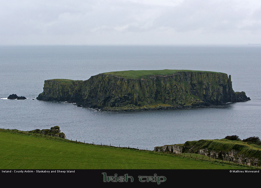 sheepisland02