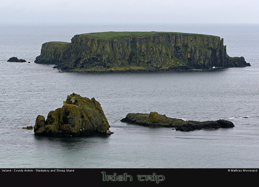 sheepisland03