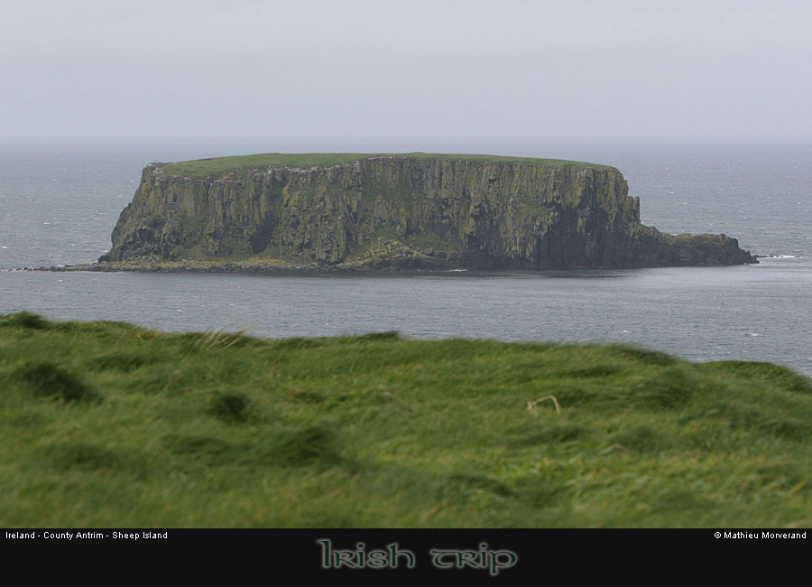sheepisland04