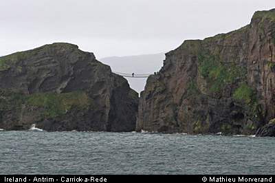 carrickarede24