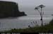 sheepisland05
