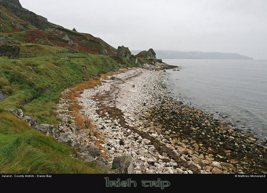 drainssbay01