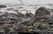 drainssbay03