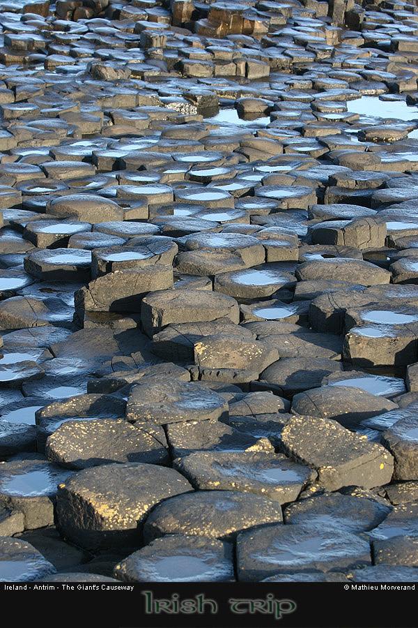 giantcauseway24