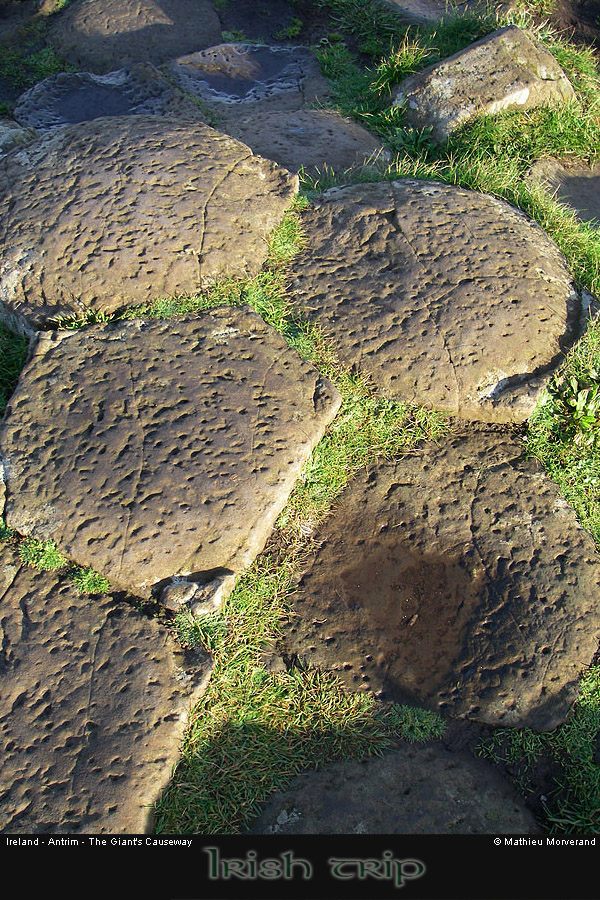 giantcauseway25