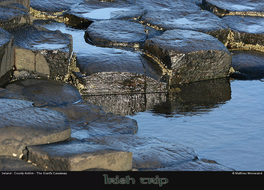 giantcauseway26