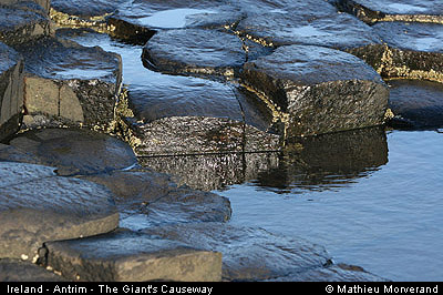 giantcauseway26