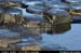giantcauseway26