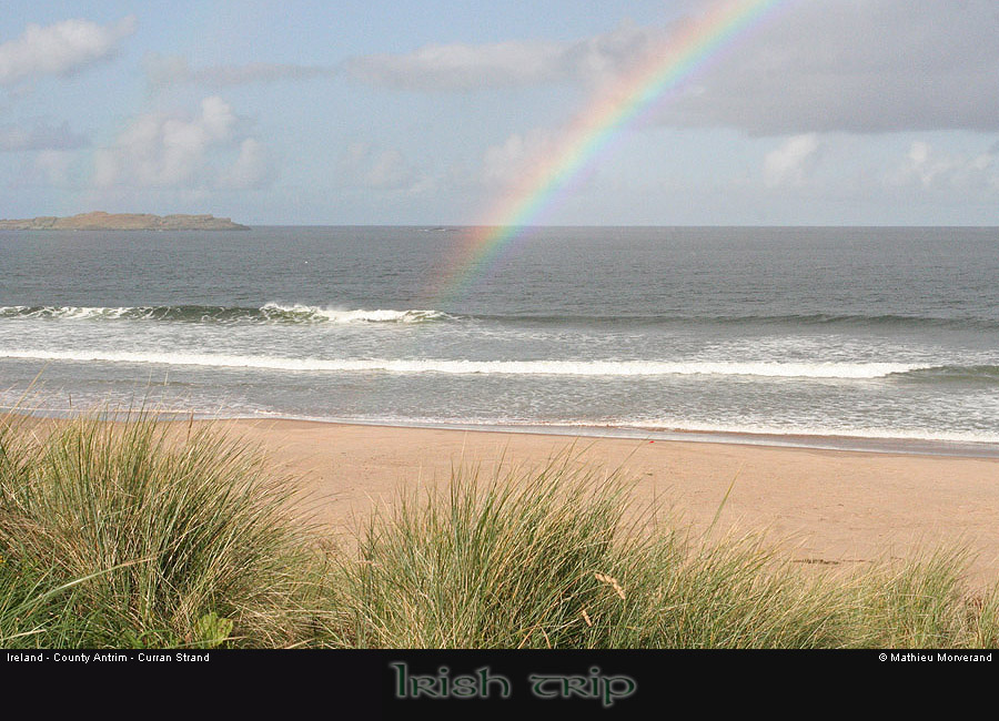 thewhiterocks02strand