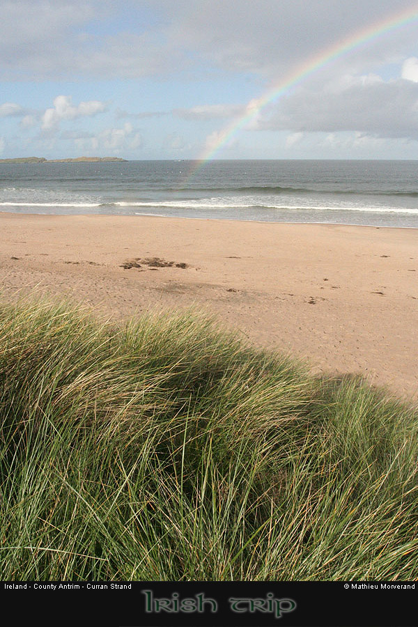 thewhiterocks05strand