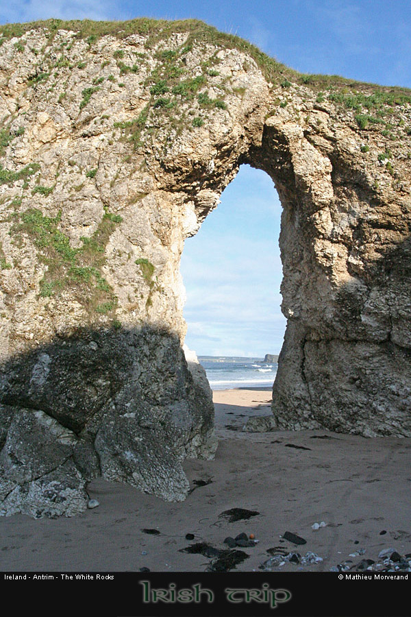 thewhiterocks16