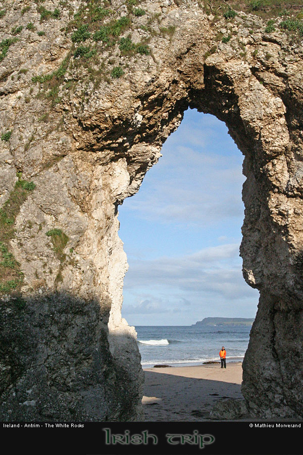 thewhiterocks17