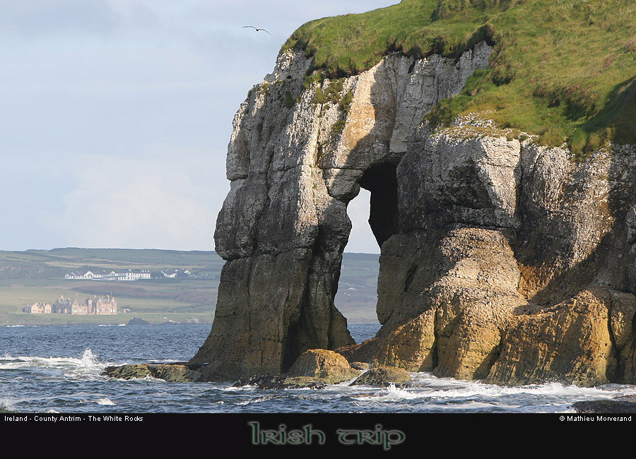 thewhiterocks22