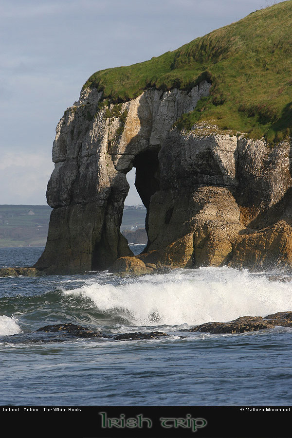 thewhiterocks24